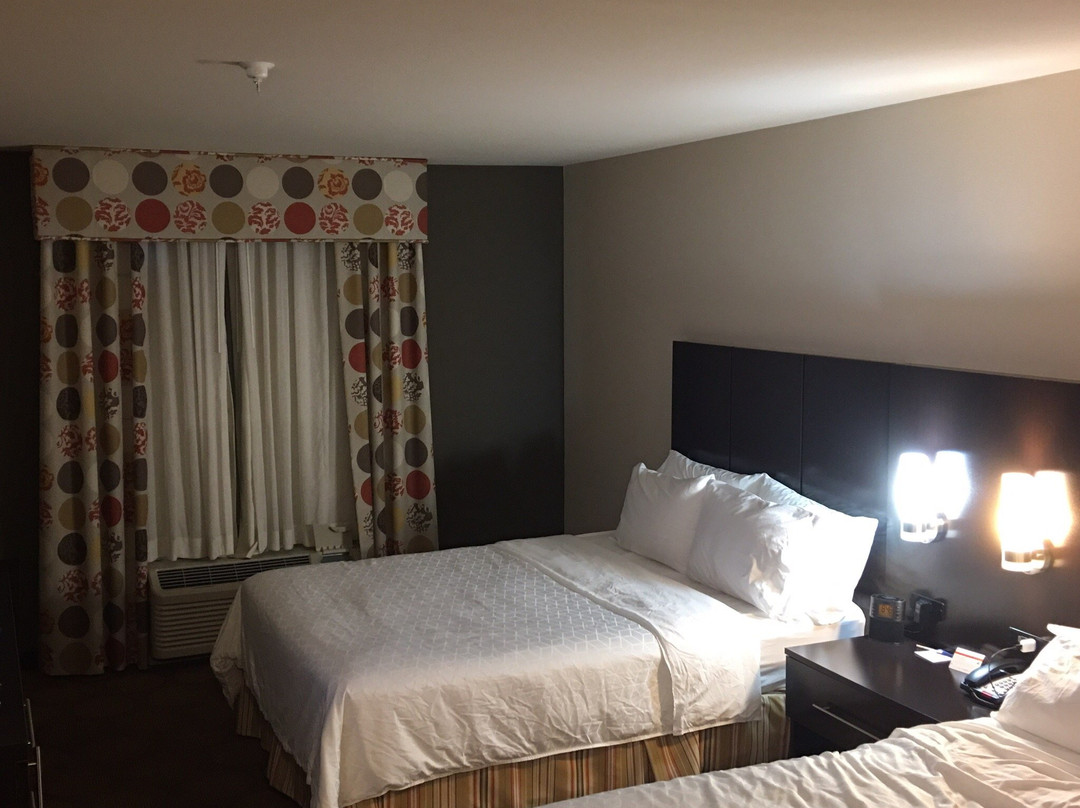 Hobbs酒店住宿-Holiday Inn Express & Suites Hobbs By IHG