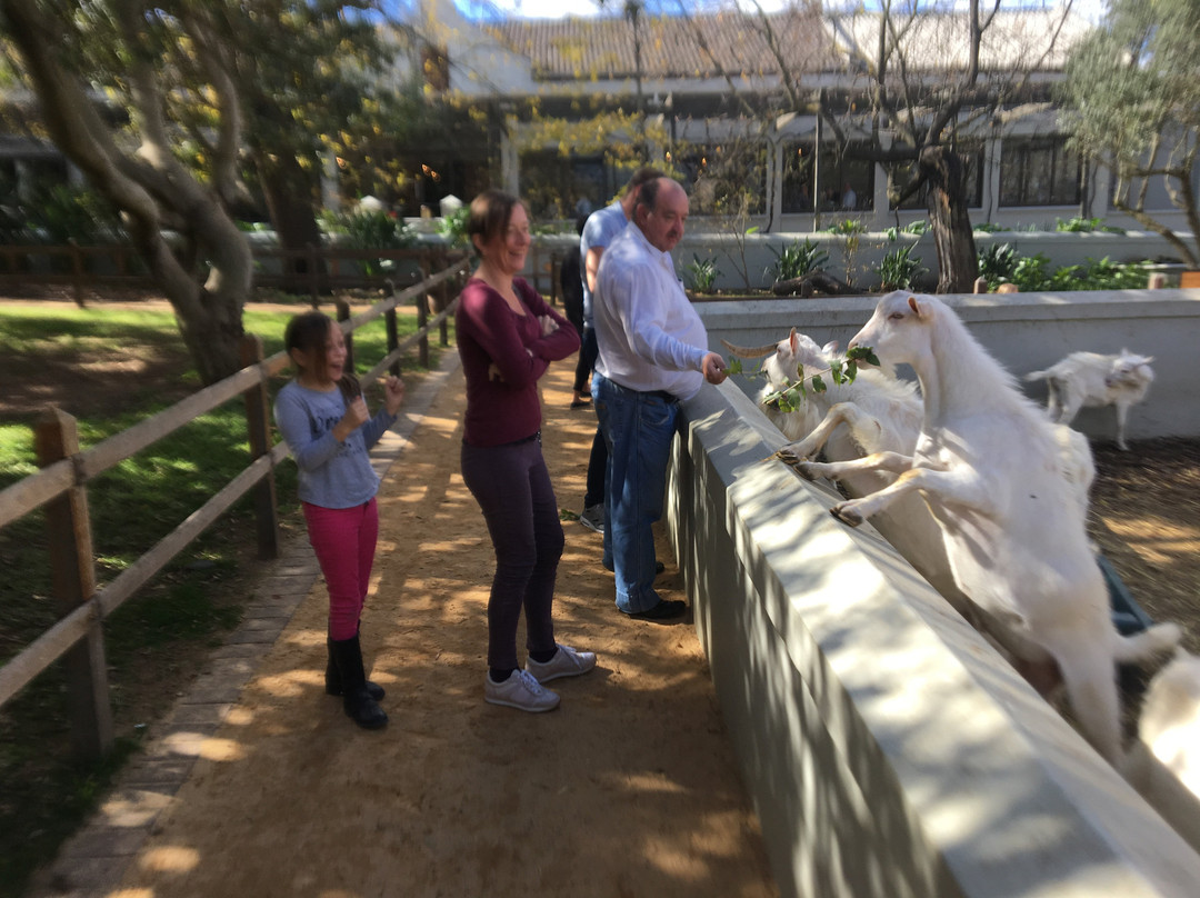 Silverleaf Travel and Tours-Parow必去景点