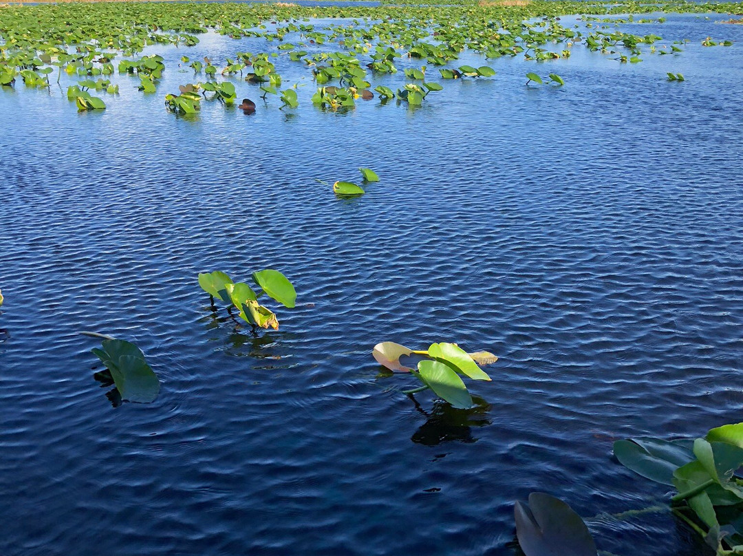 Everglades Holiday Park-劳德代尔堡必去景点