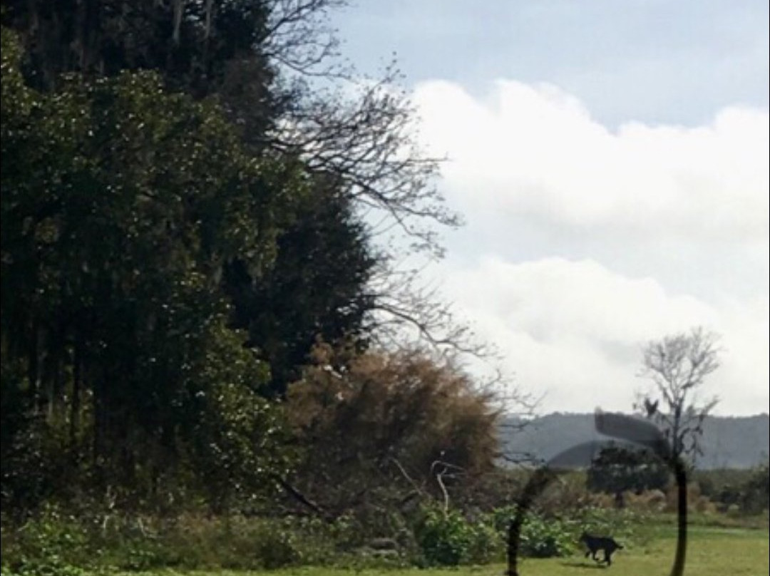 Willowbrook Golf Course-温特黑文必去景点