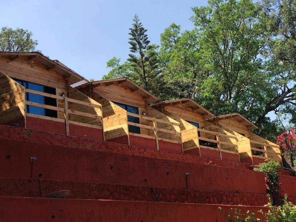 OYO 29951 Kaas Wood Resort主图