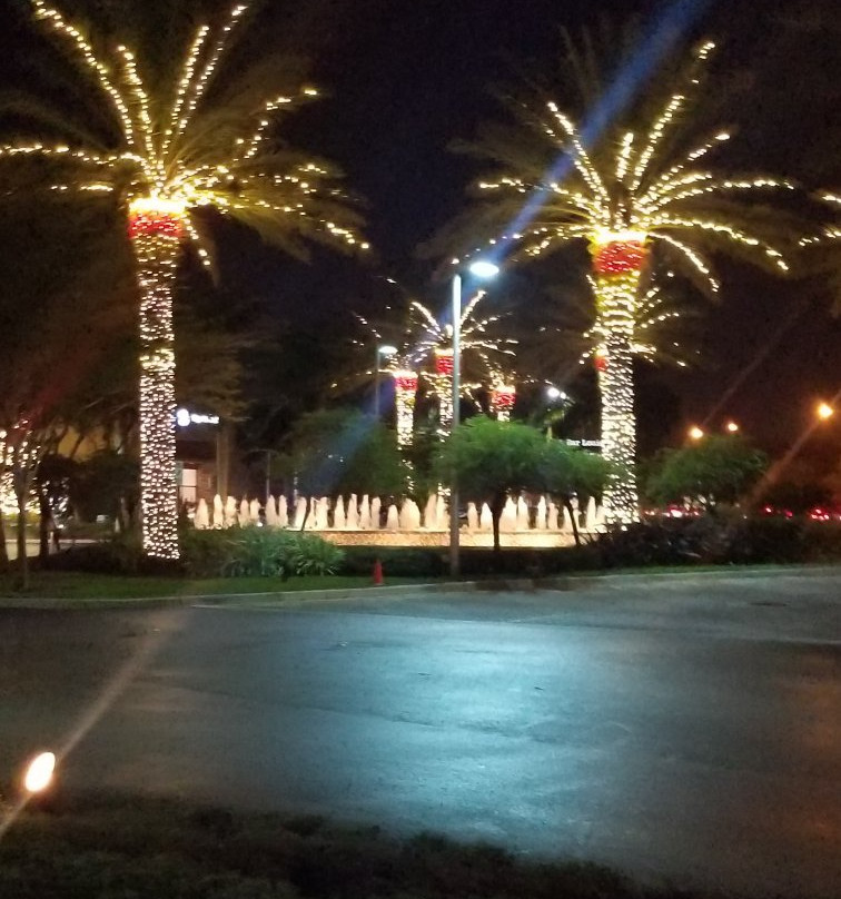 Promenade At Coconut Creek景点图片