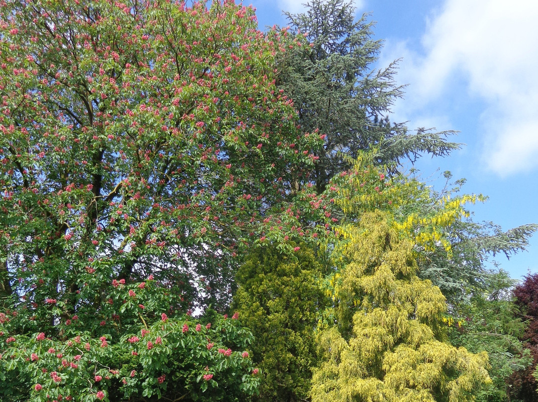 Waarschoot酒店住宿-B&B Villa De Keyser