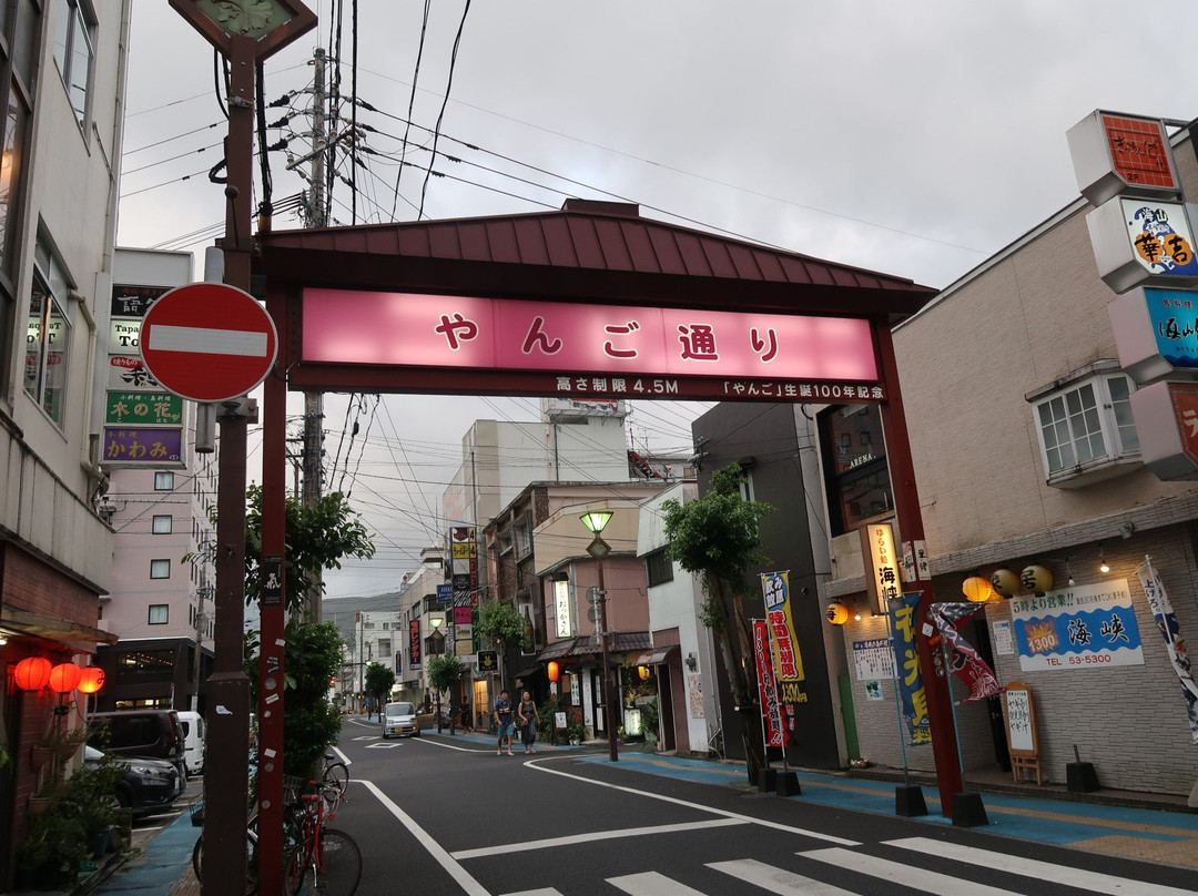 Yanigawa Shopping Street-奄美市必去景点