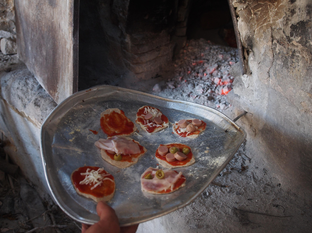 ALGARVE TREASURES - Tours & Experiences-法罗必去景点