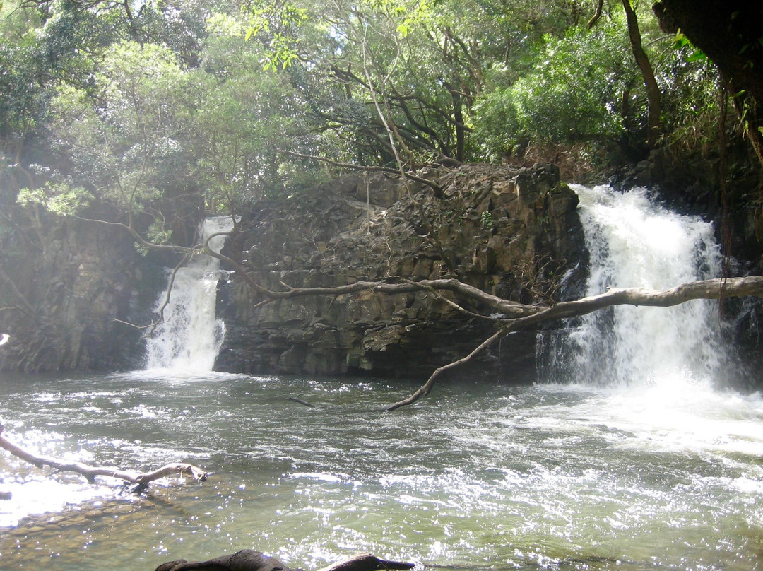 Twin Falls Maui景点图片