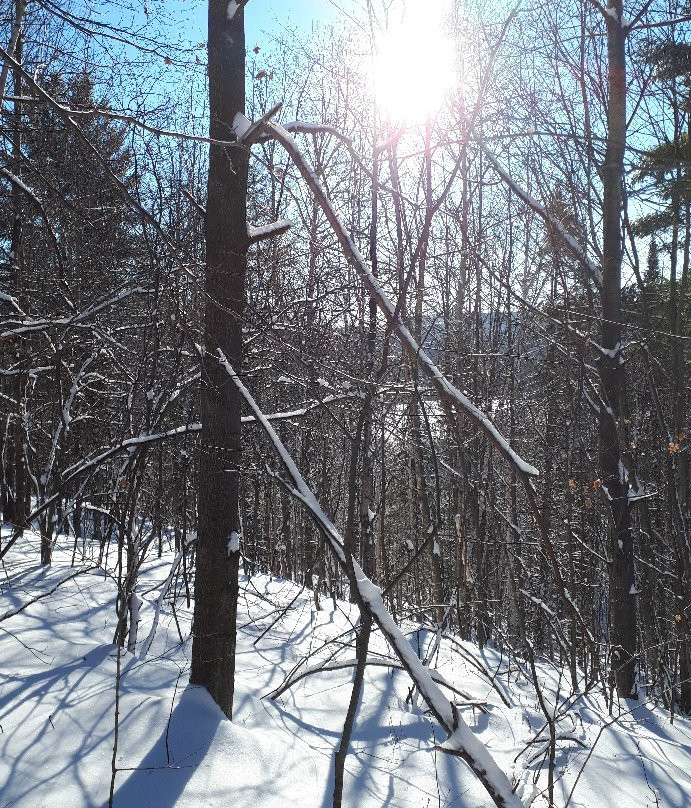 Ski Montagne Coupée-Saint-Jean-de-Matha必去景点