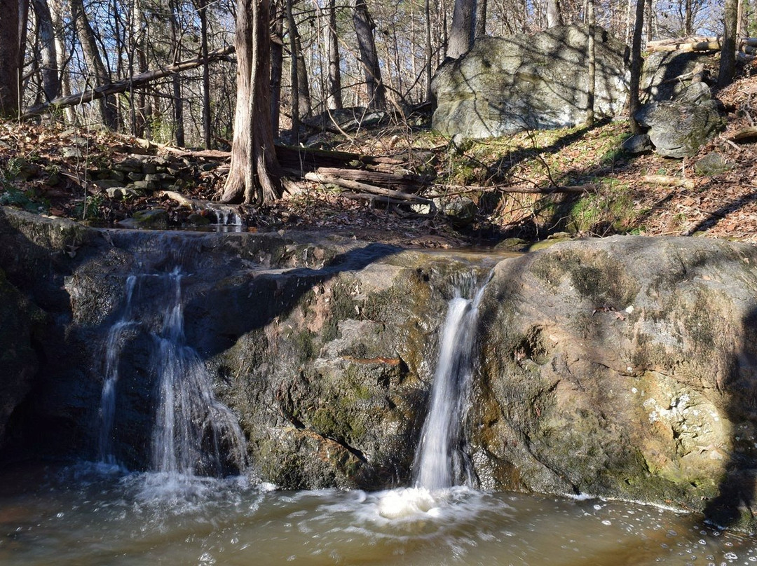 Cedarock Park-伯灵顿必去景点