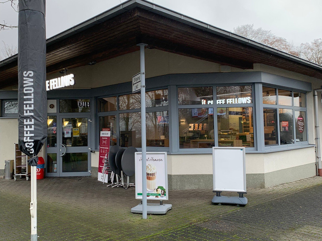 Coffee Fellows - Kaffee, Bagels, Frühstück