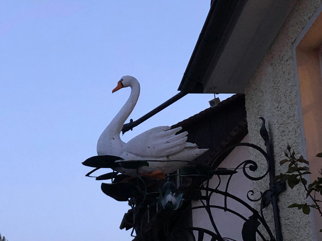 Gasthaus Schwanen