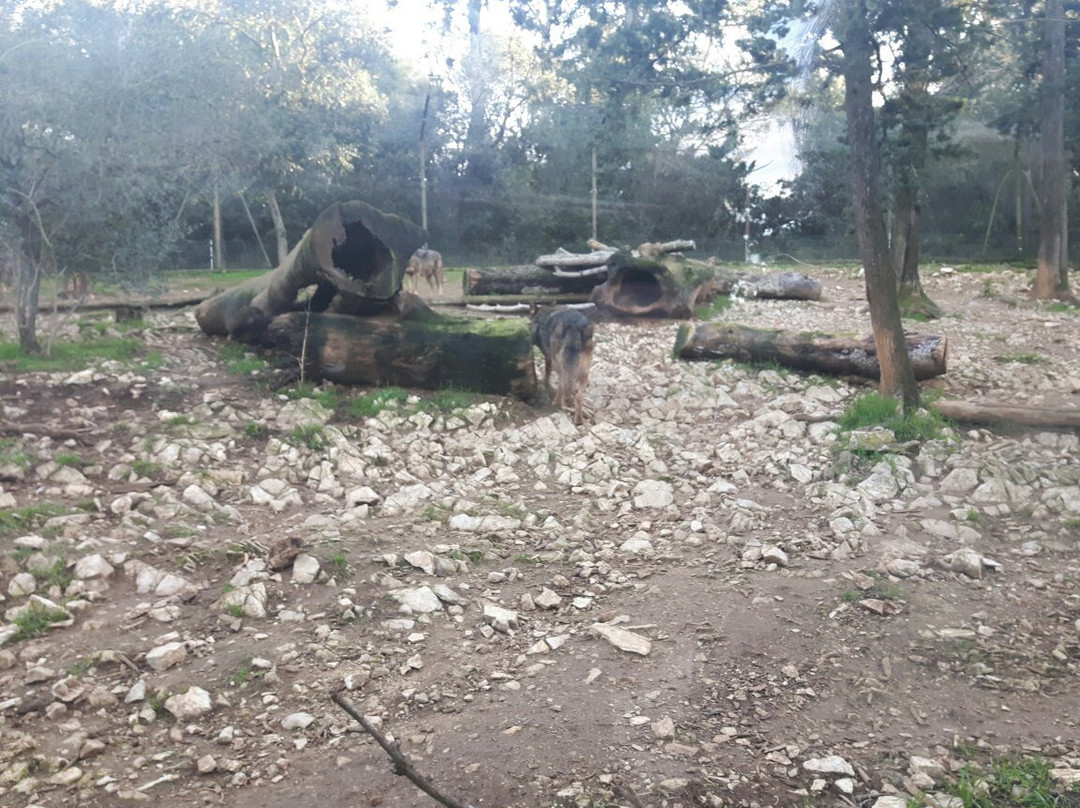 Parc de Lunaret - Zoo de Montpellier景点图片