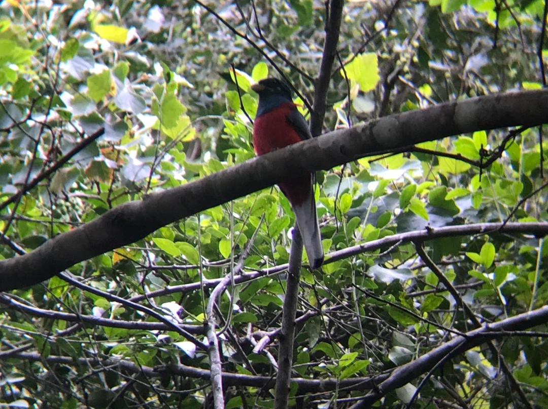 Explore Eden (Birding)-乔治必去景点