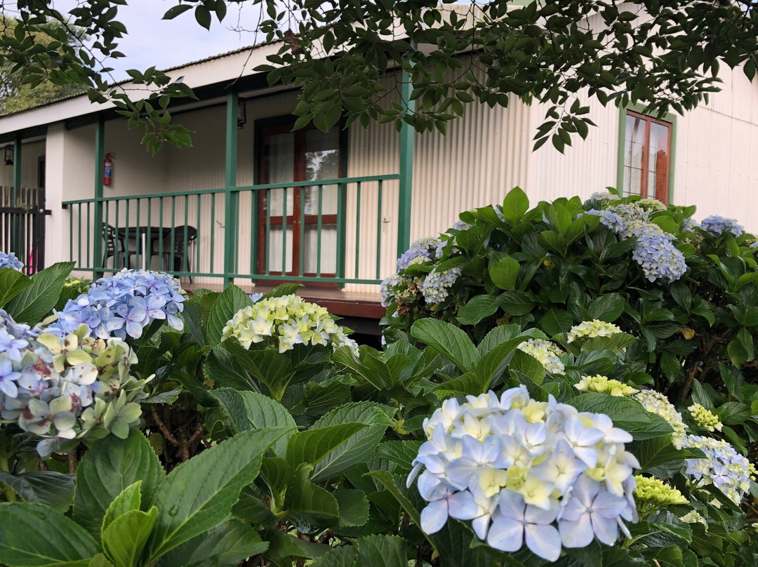 Log Cabin & Settlers Village主图