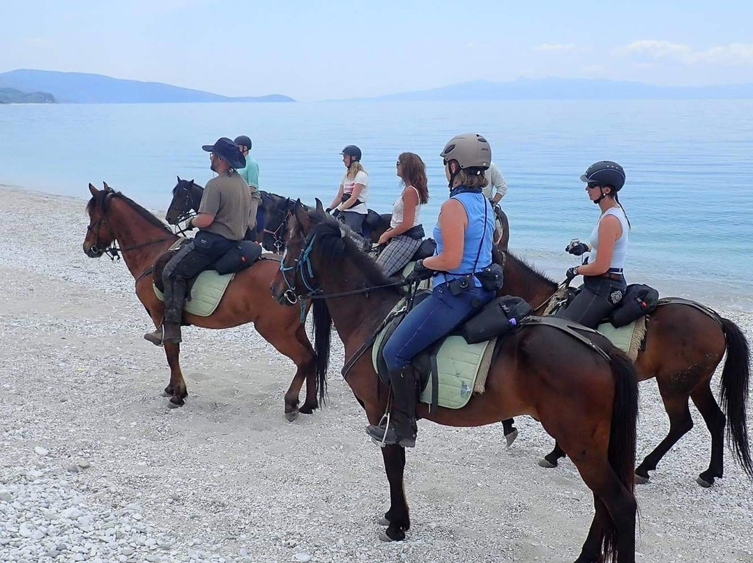 Caravan Horse Riding Albania景点图片