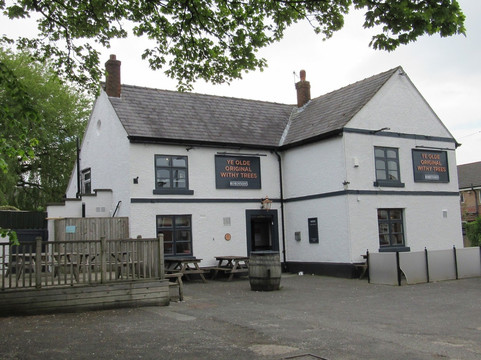 Ye Olde Original Withy Trees