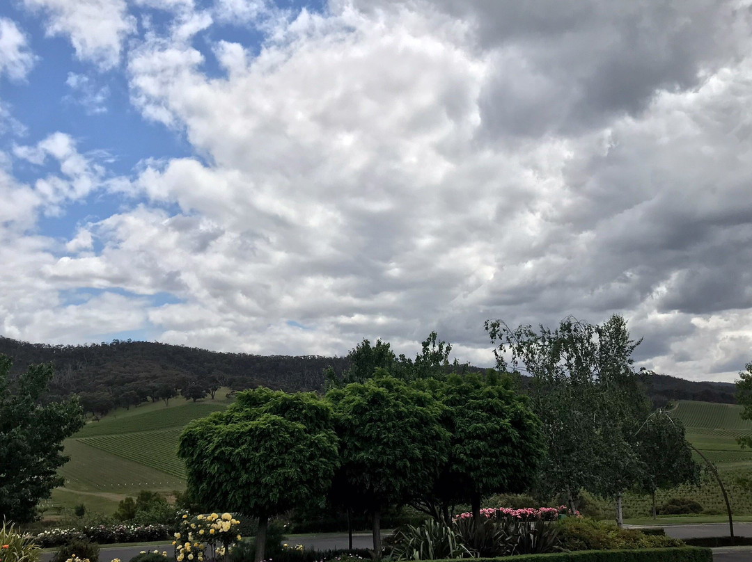De Bortoli Winery景点图片