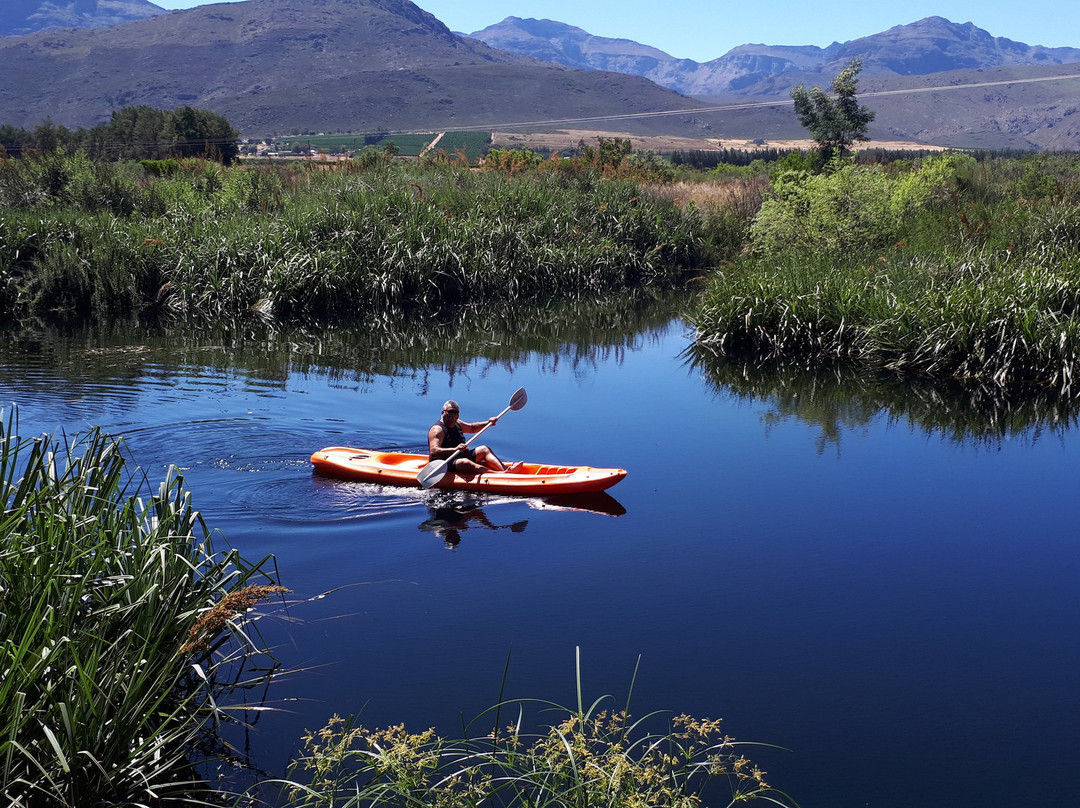 Kardouw Country Retreat - Tree Tops主图