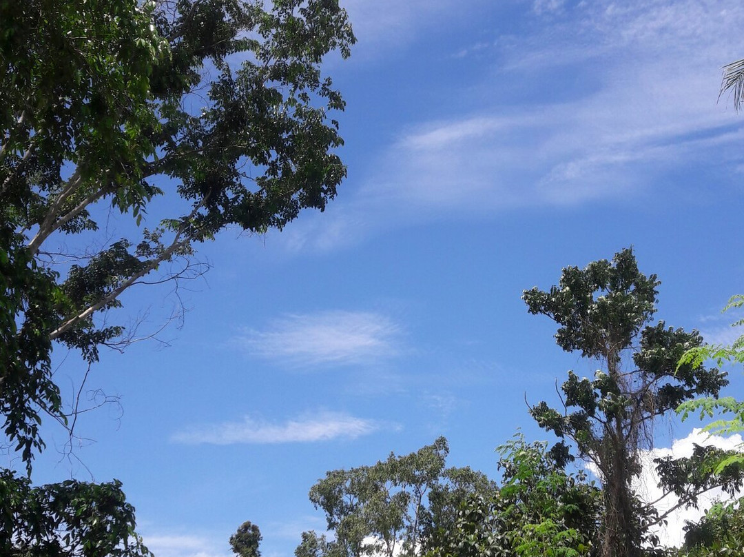 Meleura Beach景点图片