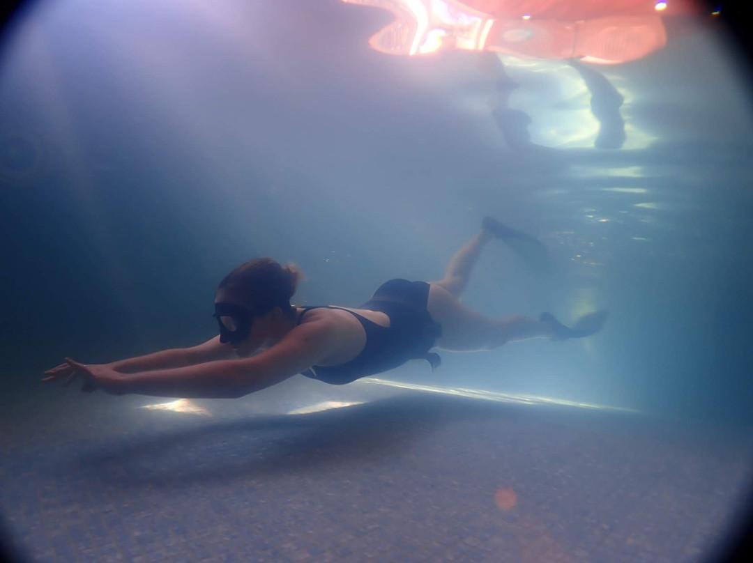 Blue Water Freediving School景点图片