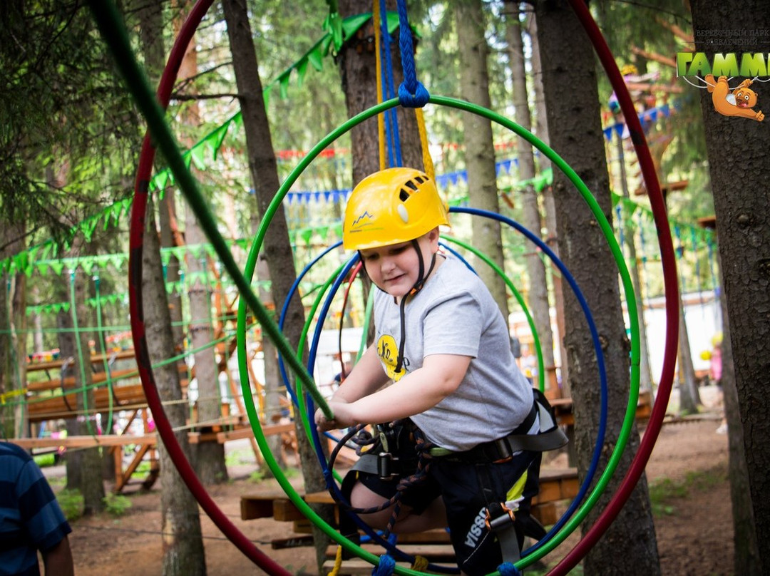 Rope Park Gammy景点图片