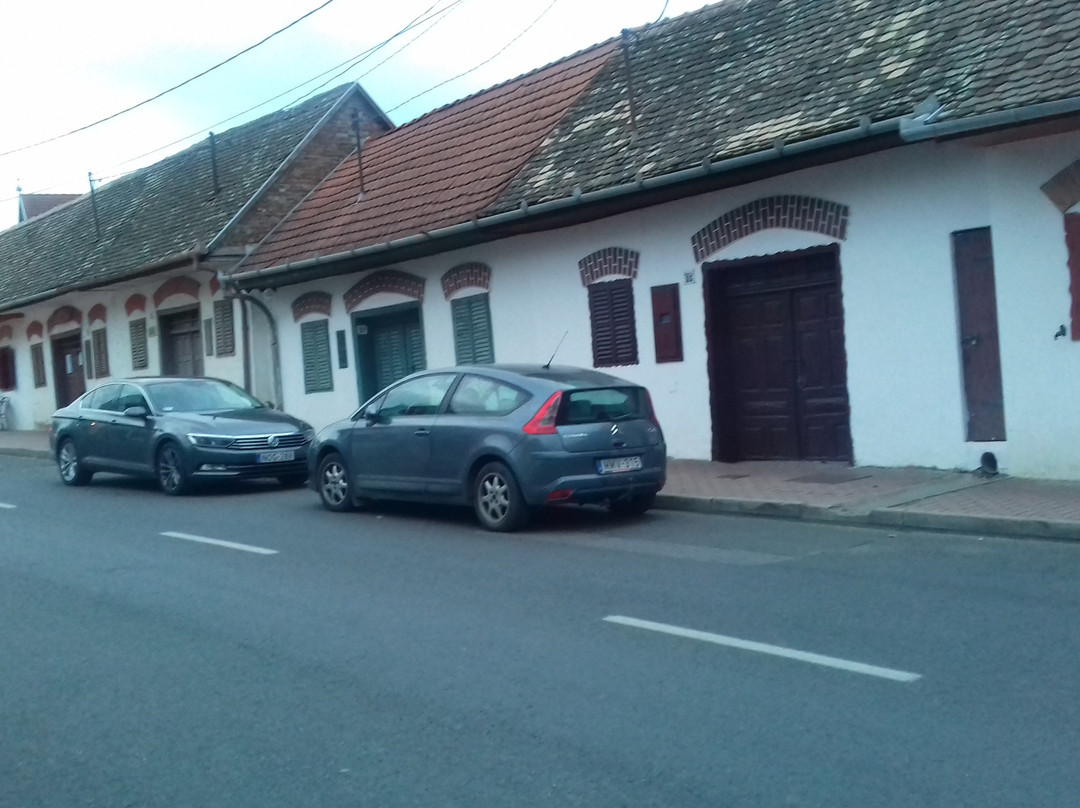 Csiki Vendeghaz