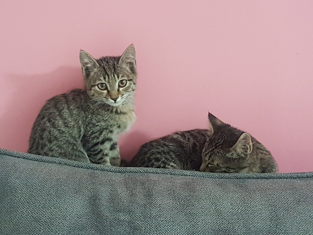 Zhee Showroom-卡尚必去景点