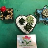 The Sipping Plant-东布伦瑞克必去景点