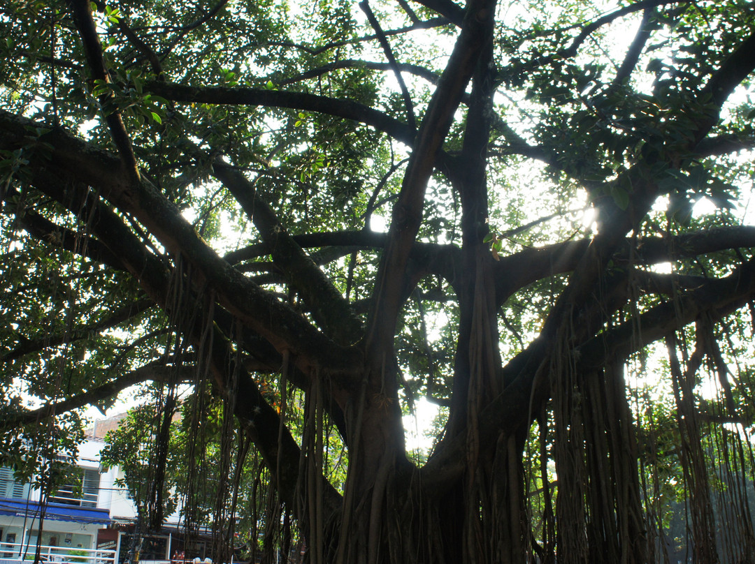 Hotel Parque Del Perro主图