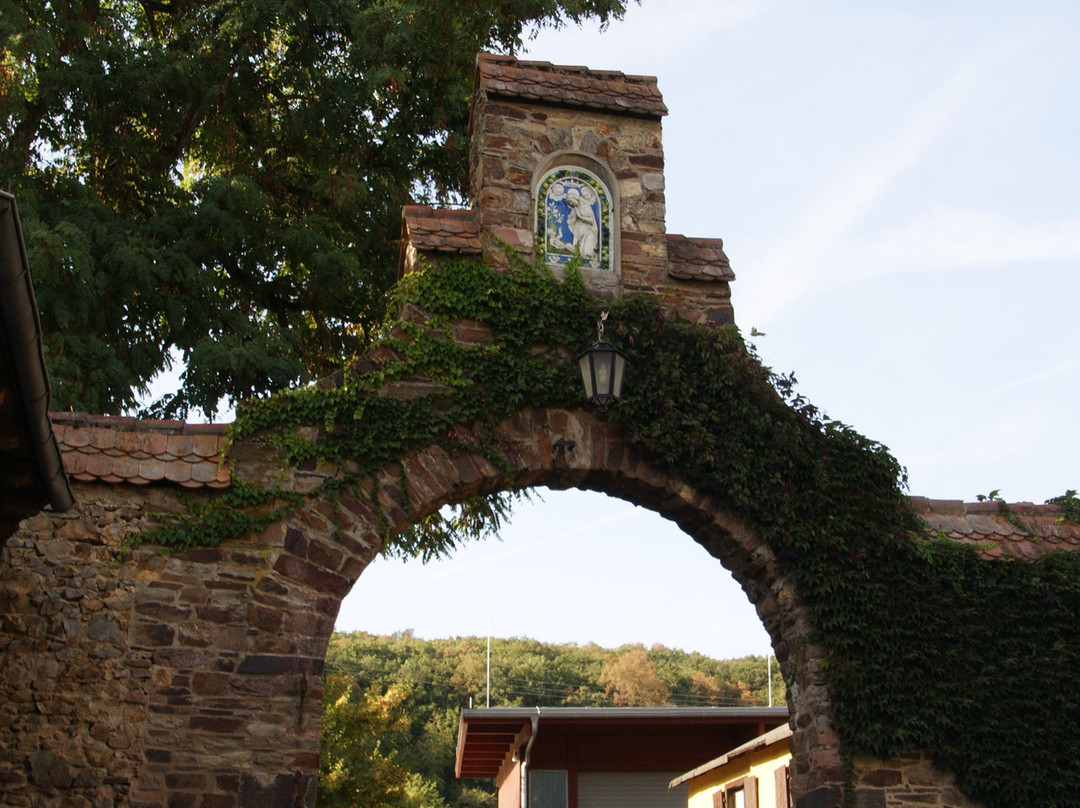 Weingut Schloss Vollrads景点图片