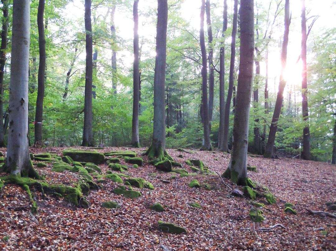 Römische Höhensiedlung Großer Berg