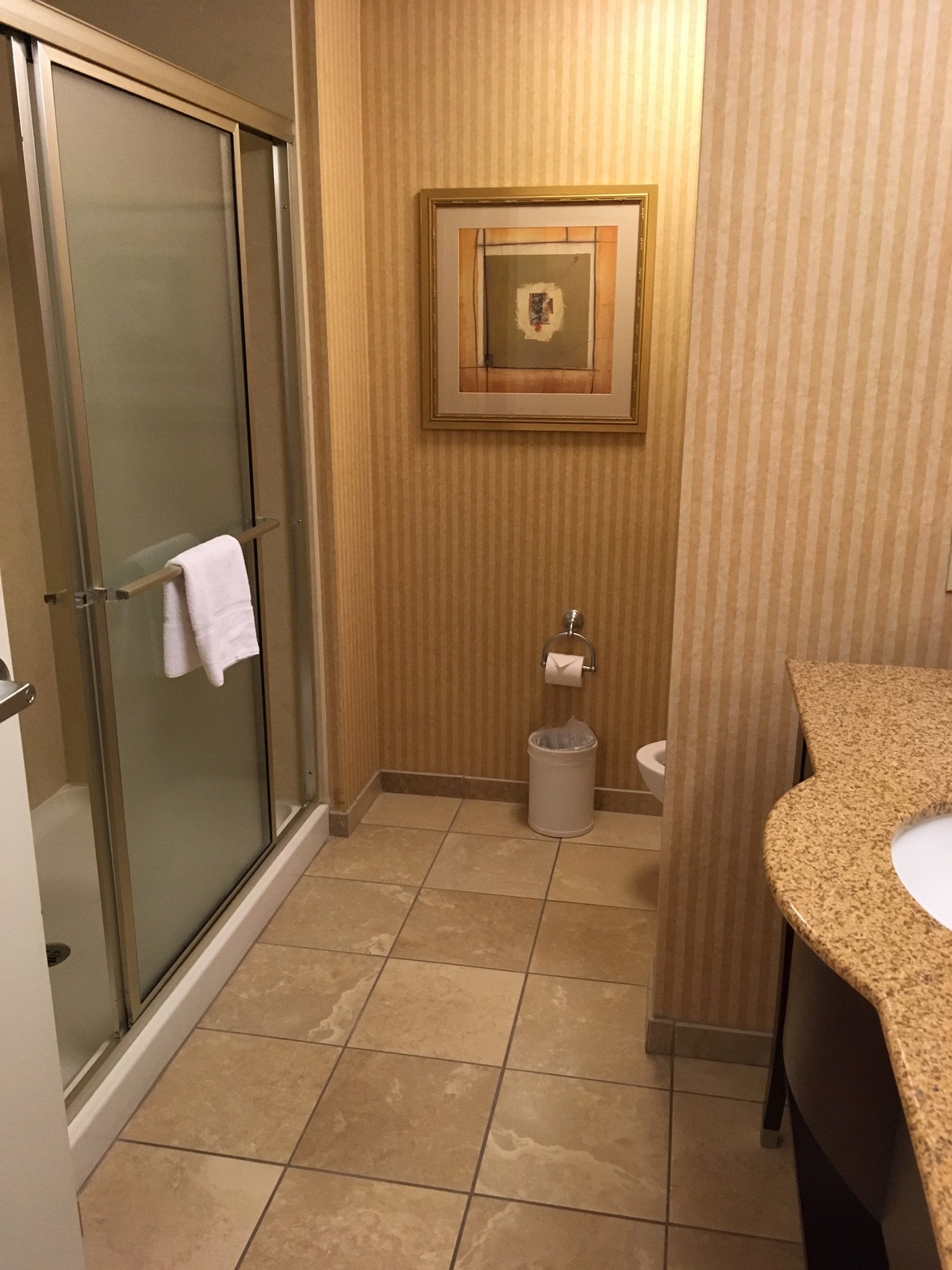 Hampton Inn Las Vegas/North Speedway-浴室