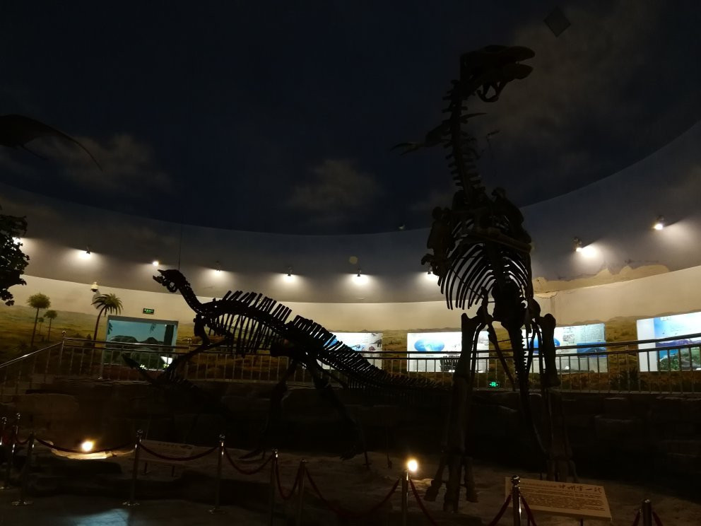 嘉荫恐龙国家地质公园-伊春市必去景点