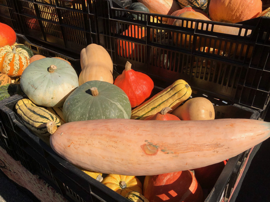 Burnaby Artisan Farmers’ Market-本那比必去景点