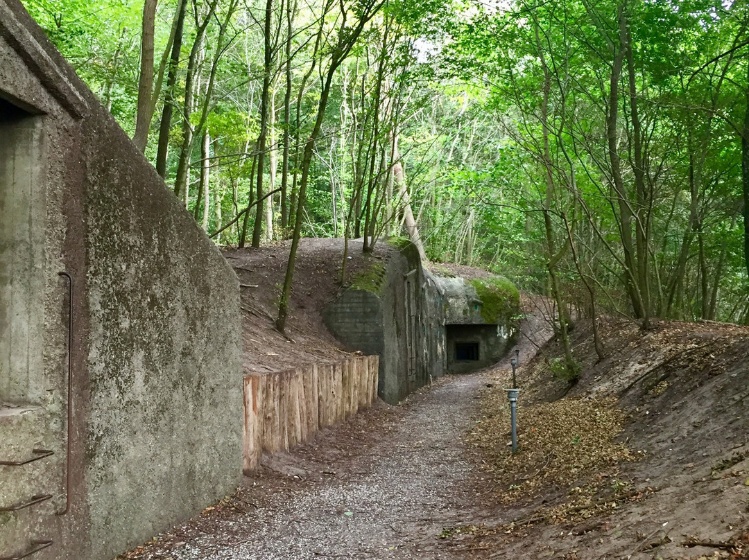 Skanderborg Bunkerne景点图片