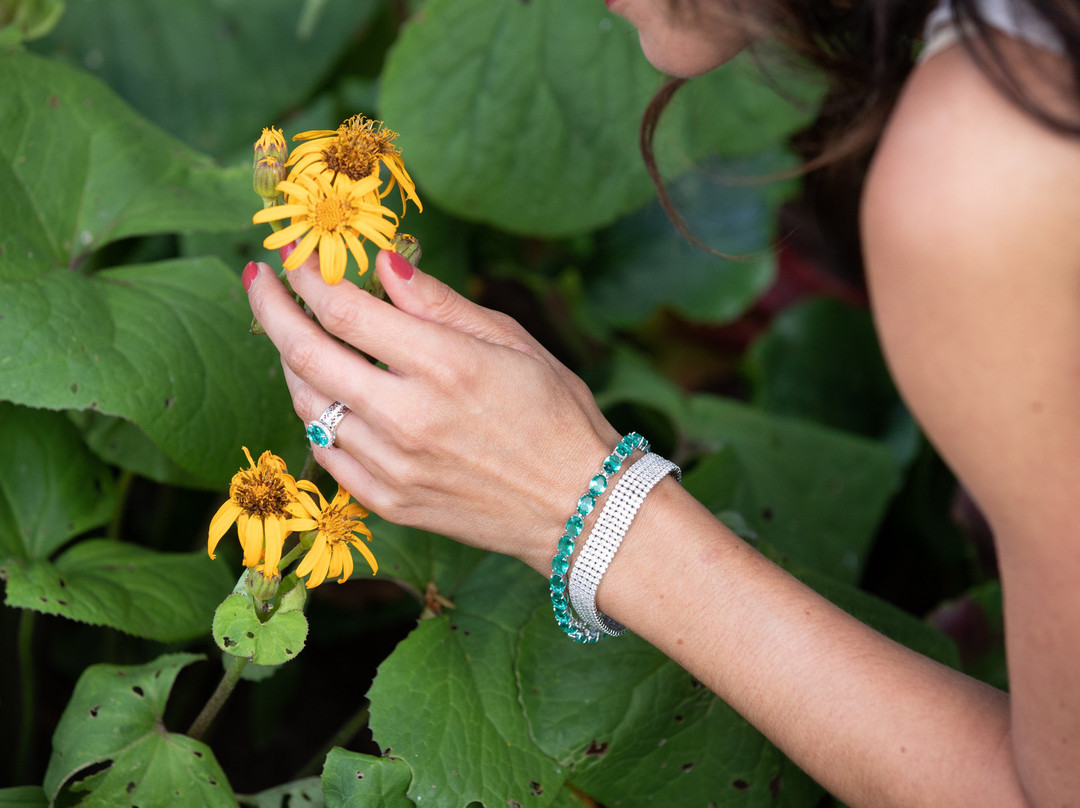 Trilliant Diamonds & Jewelry-Fish Creek必去景点