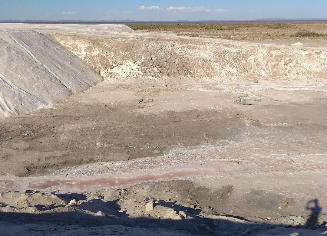 Salinas del Bebedero景点图片