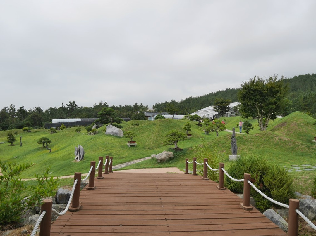 Cheonsaseom Bunjae Park-新安郡必去景点
