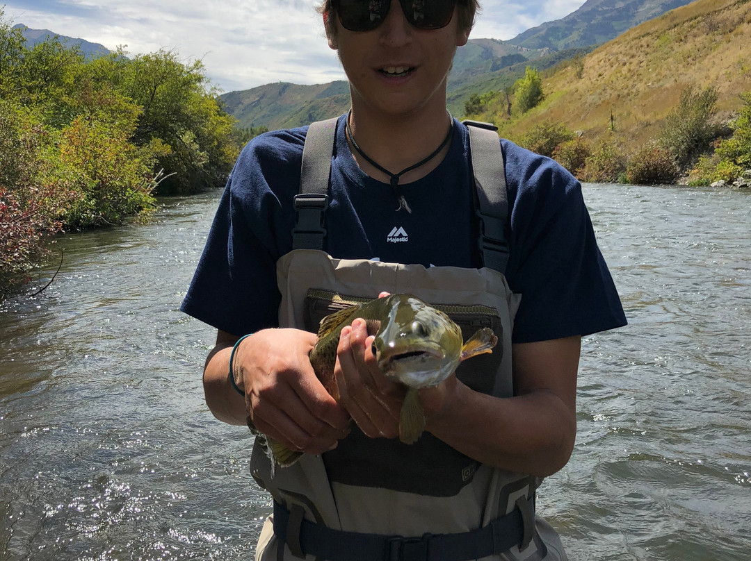 Sundance Fly Fishing景点图片