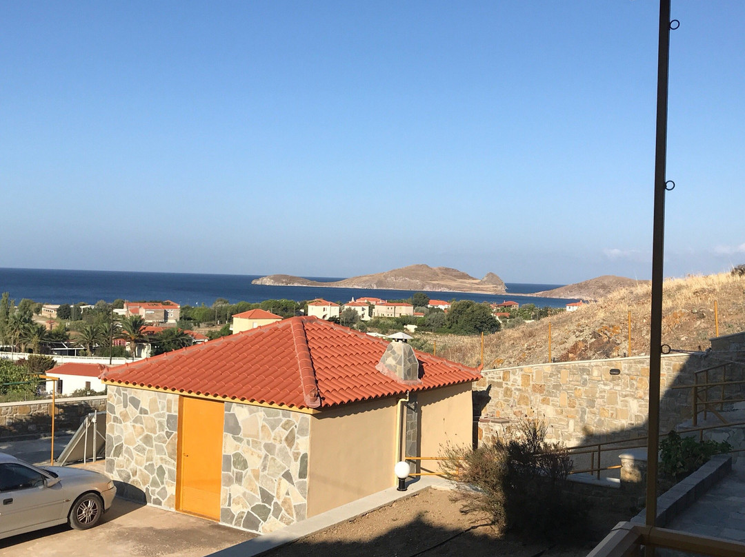 Panorama Plati主图