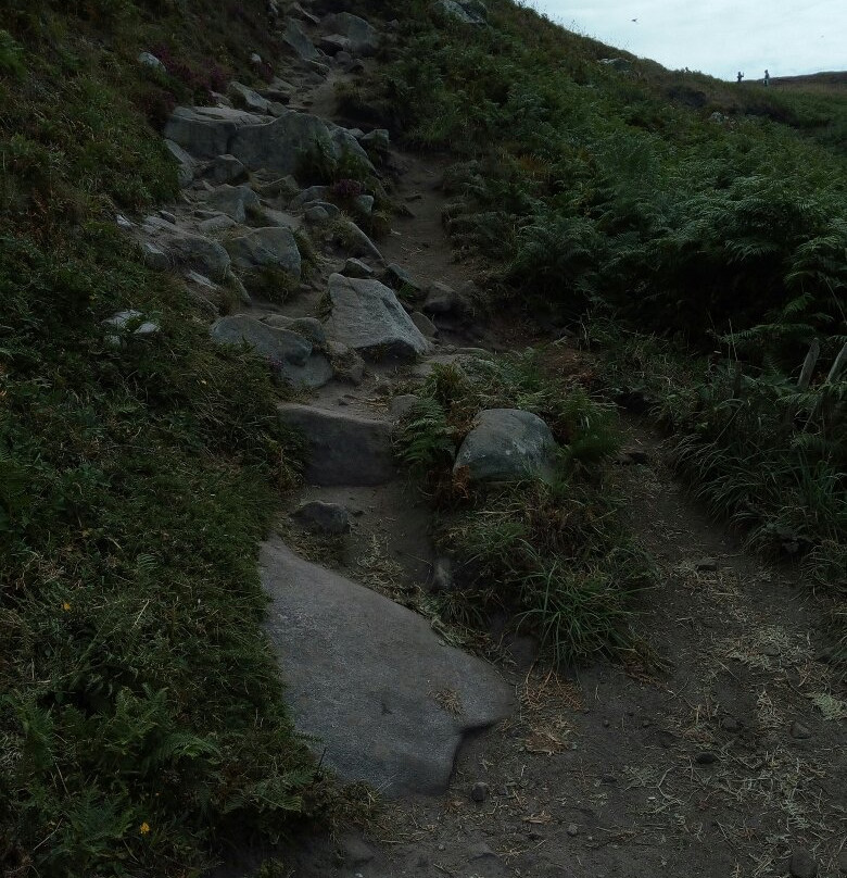 Fumoir de la Pointe du Raz景点图片