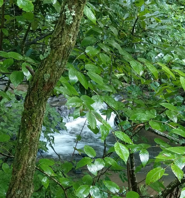 Beaver Dam Creek Walking Trail景点图片