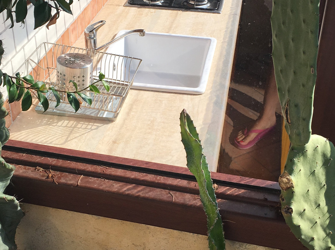 Al Casalicchio Bed and Breakfast主图