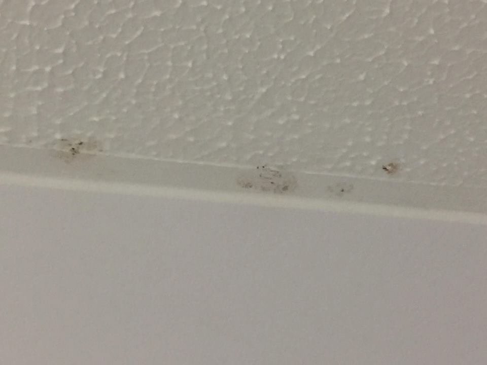 Travelodge Edinburgh Dreghorn-浴室