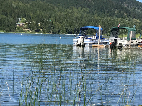 White Lake旅游攻略图片