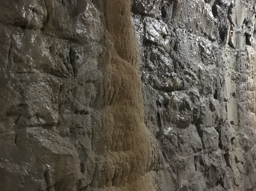 Predor Šalet景点图片