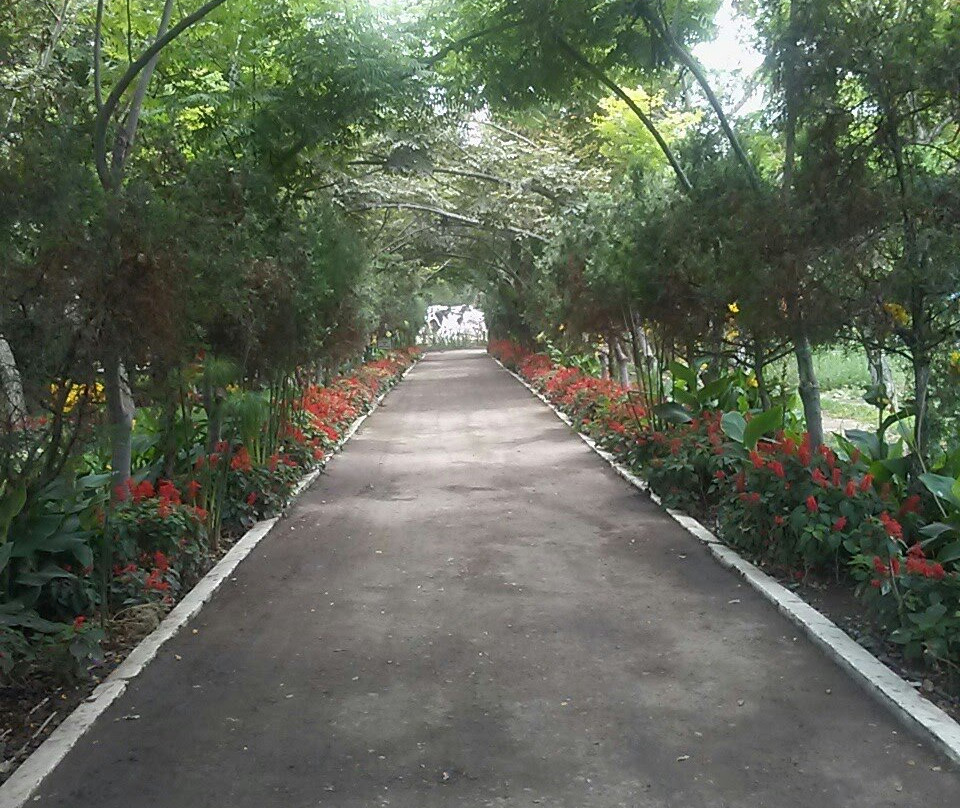 Jardín Botánico-特鲁希略必去景点