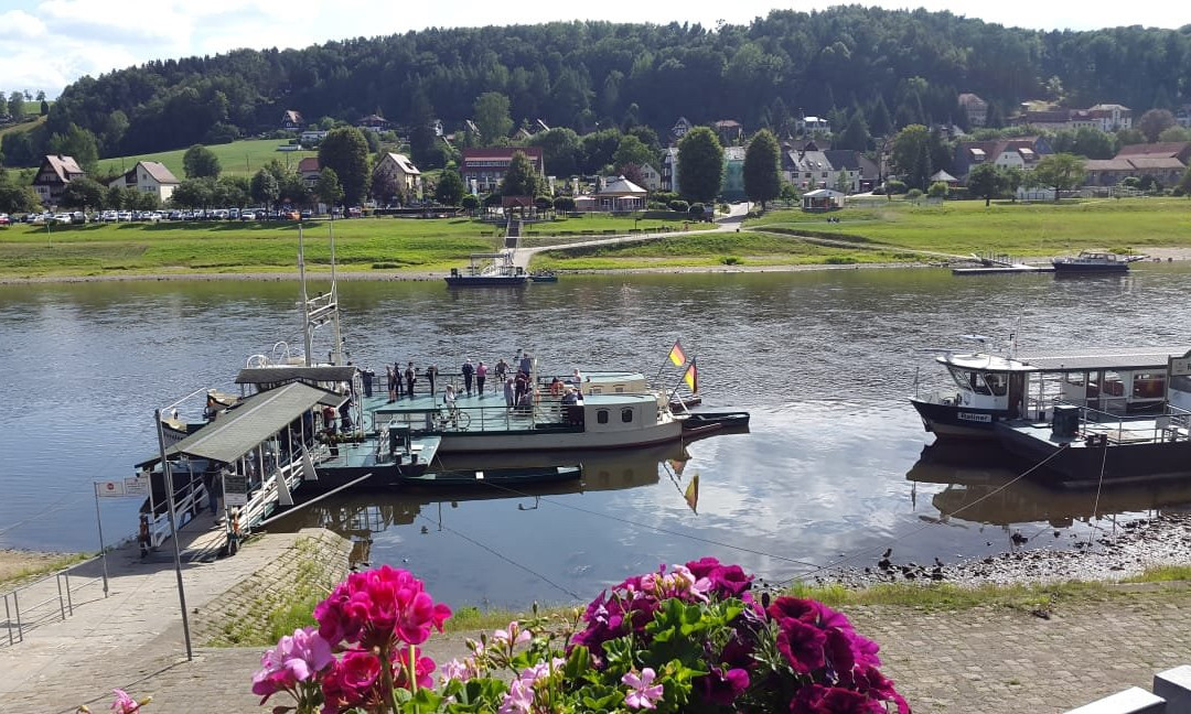 Elbe ferries景点图片