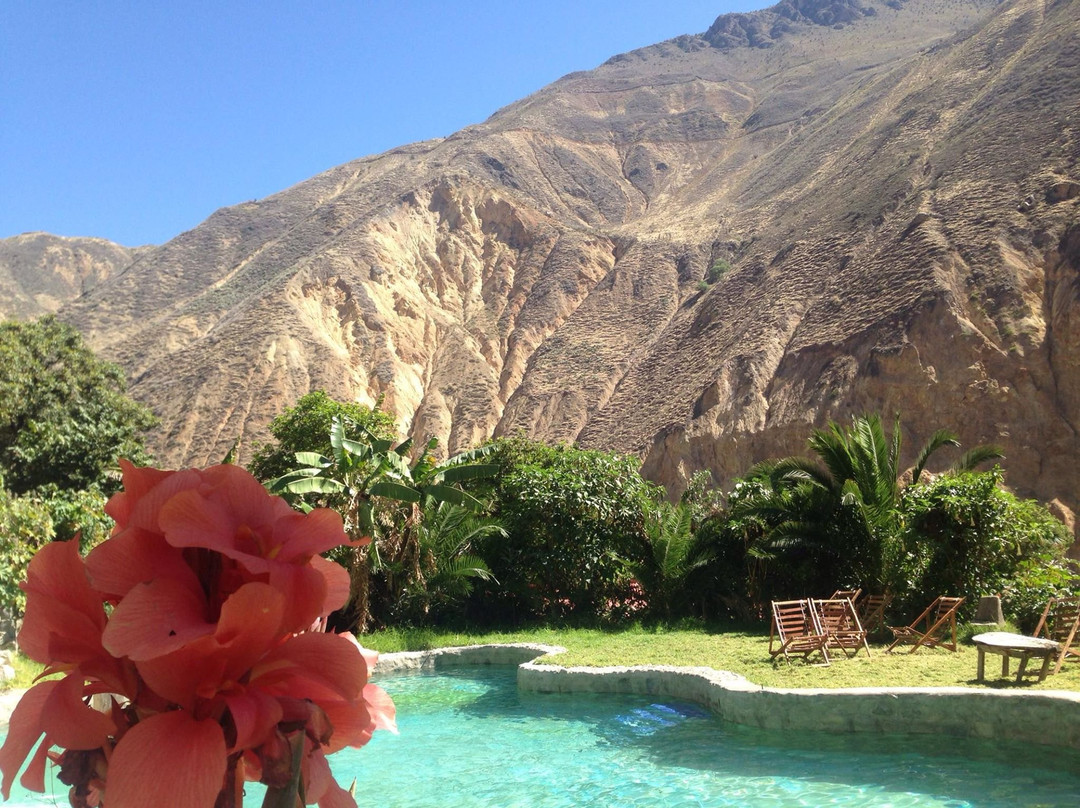 Jardin El Eden