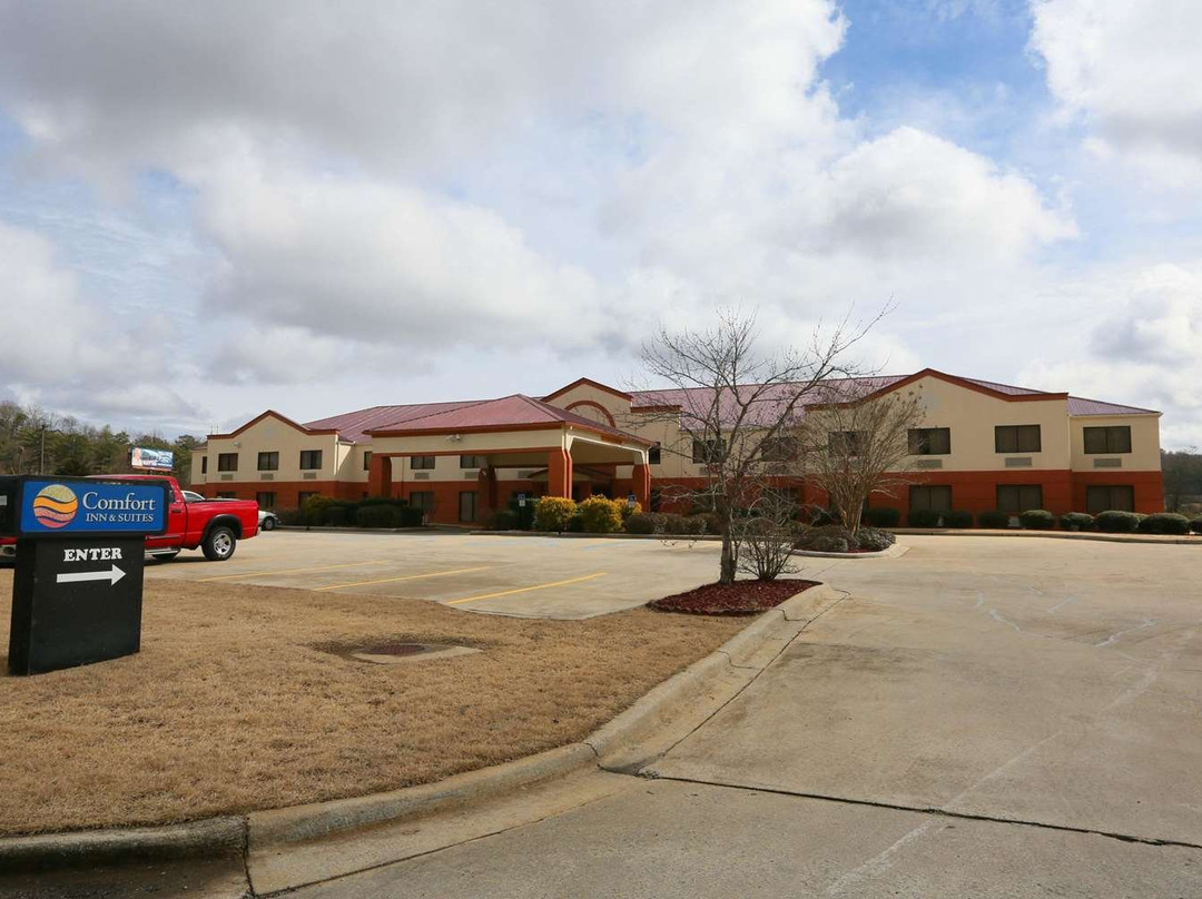 Comfort Inn & Suites Leeds I-20主图