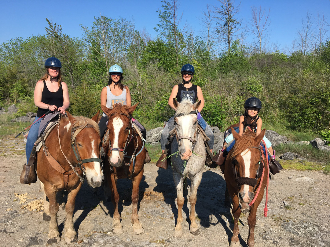 HorsePlay Niagara-科尔本港必去景点